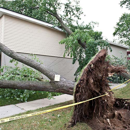 Glenview, IL